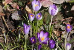 DSC00385.JPG