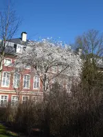 P1020914.webp