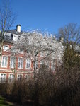 P1020914.JPG