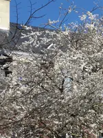 P1020915.webp