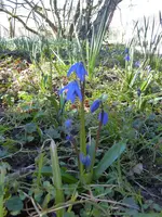 P1020920.webp