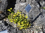 P1020925.JPG