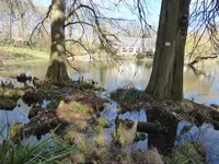 P1020950.webp