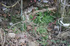 DSC09677.webp