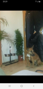 Screenshot_20210319-202941_Facebook.webp