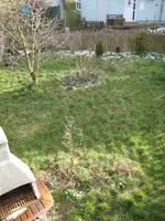 Garten mittel.webp
