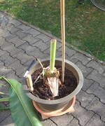 DSCF4259.webp