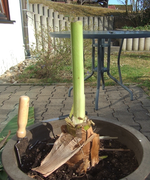 DSCF4260.webp