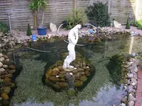 003.webp