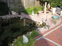 005.webp