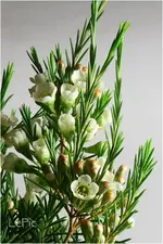 080401_01.webp