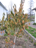 IMG_3276.webp