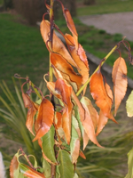 IMG_3278.webp
