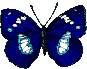 schmetterling08.gif