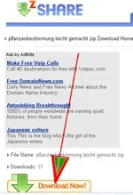 11.webp