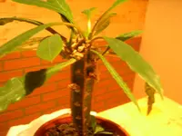Bild 051.webp