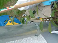 DSCF0111.webp