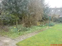 DSC00145.webp