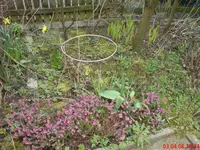 DSC00146.webp