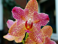 k-Bild 223.webp