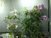 02042008572.webp