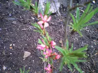 Photo0080.webp