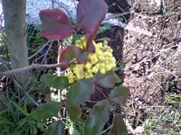 Photo0083.webp