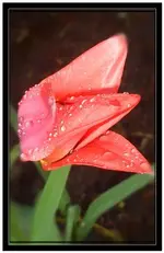080406_01.webp