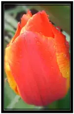080406_02.webp