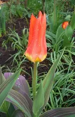 080406_05.webp