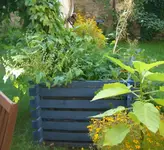 rechts_Bunter Mischmasch2.webp