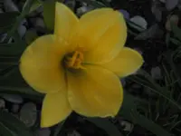 garten  2007 021.webp