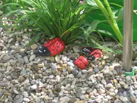 garten  2007 019.webp