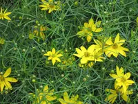 garten  2007 037.webp