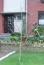 DSCF0173.webp