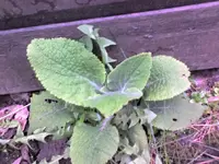 07-04-08_1627_2.webp