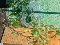 DSCF0117.webp