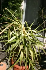 200_0029.webp