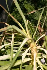 200_0030.webp