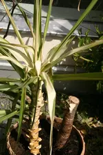 200_0031.webp