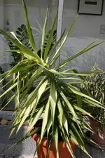 200_0032.webp