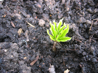 IMG_7909.webp