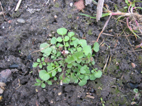 IMG_7933.webp
