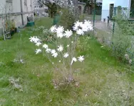 Bild000.webp
