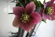 Bild.webp