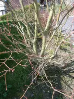 M0010890.webp