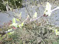 M0010895.webp