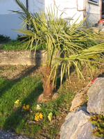 IMG_3329.webp