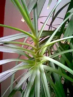 Bild007.webp