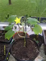 K800_S7302280.webp